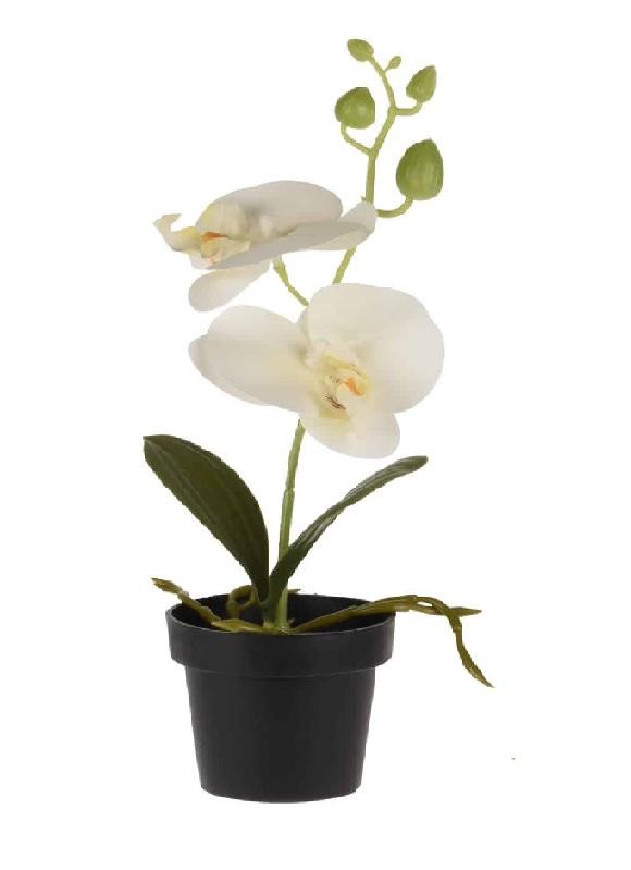 Slike KOOPMAN Вештачко цвеќе орхидеја во саксија