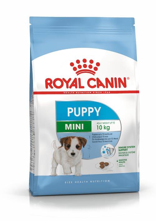 ROYAL CANIN Мini рuppy храна за мали кученца