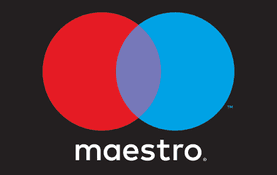 Maestro credit card icon