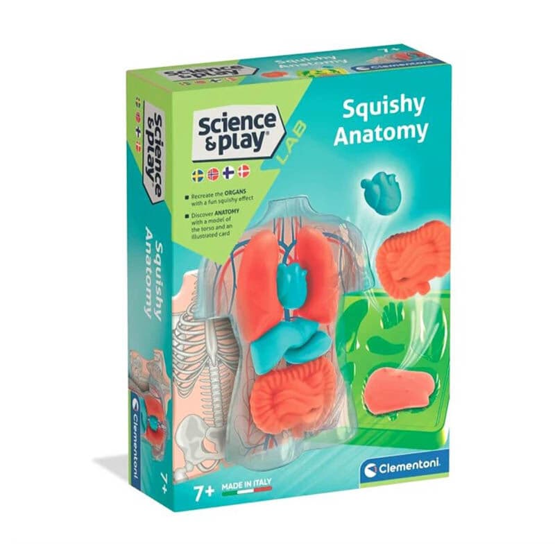 Clementoni science Сет за анатомија Squishy Anatomy
