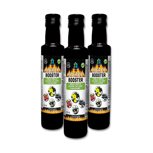 HEALTH REPUBLIC Енерџи Боостер, 3x250мл