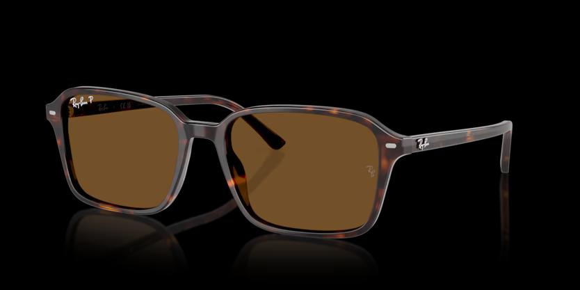 RAY BAN Очила за сонце 0RB2231 902/57 56