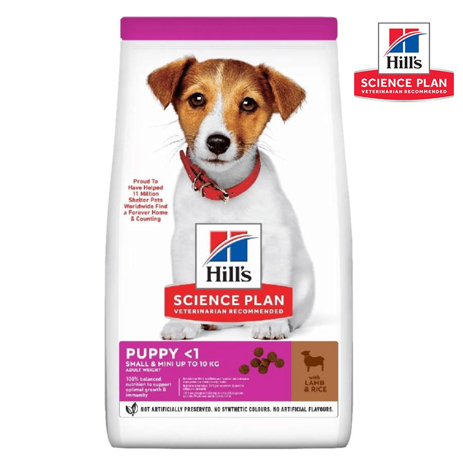 HILL'S Јуниор храна за куче до 1 год, за мали раси, јагнешко, пак.6 кг